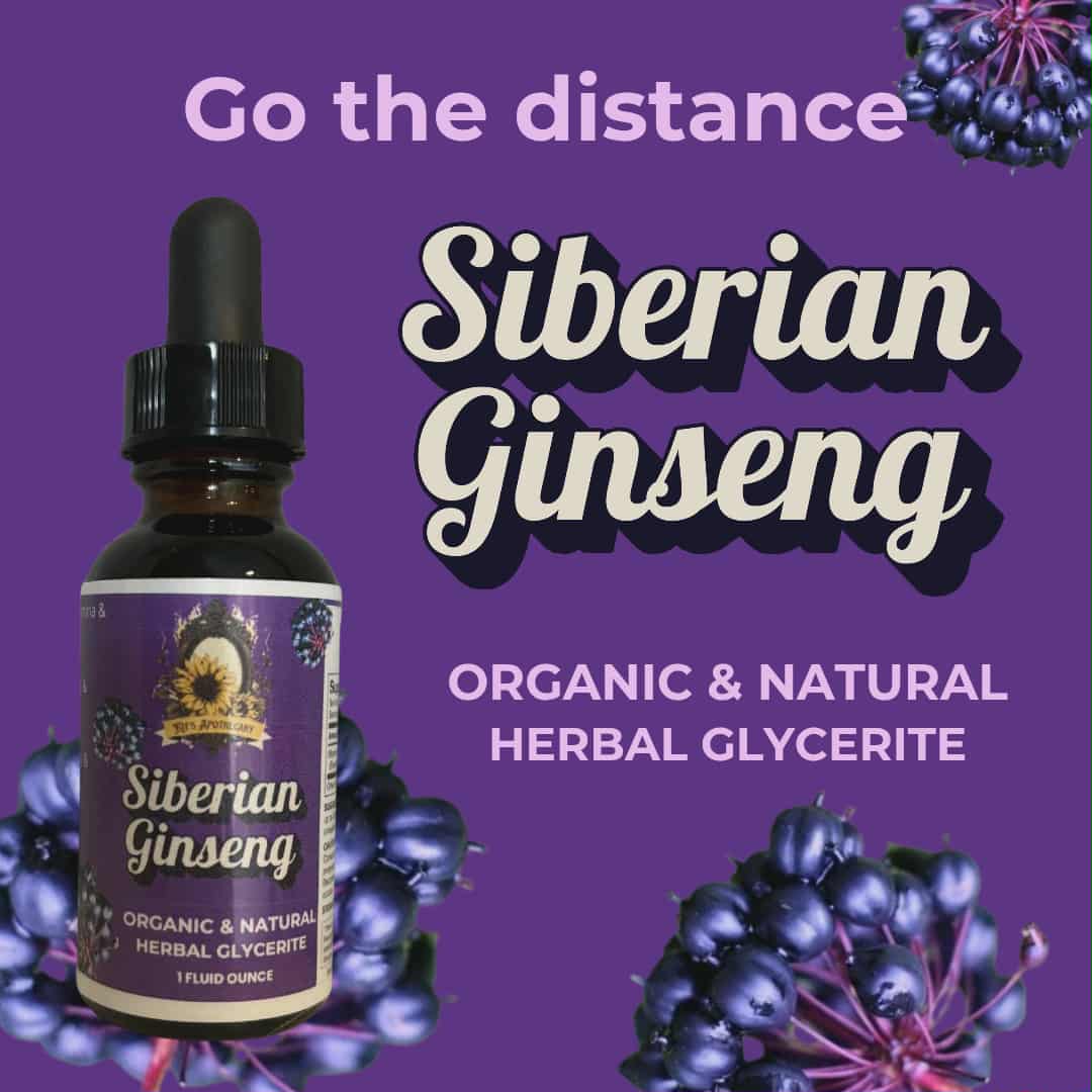 π± SIBERIAN GINSENG | Vitality + Endurance