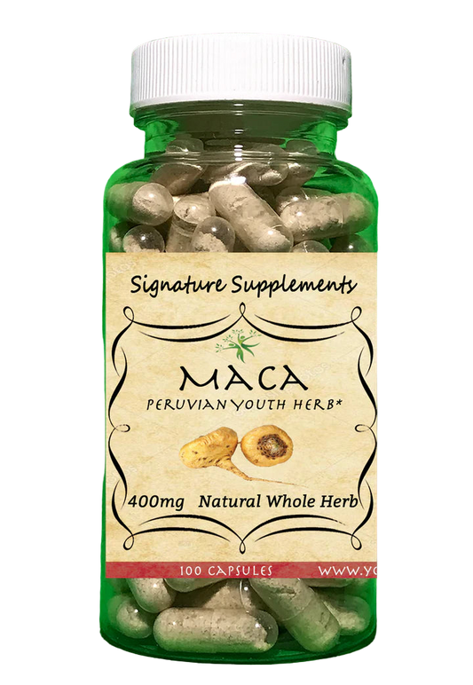 🌱 Maca Root