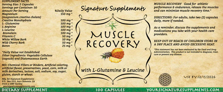 🏋️ Muscle Recovery Restore, Rebuild, Recharge.