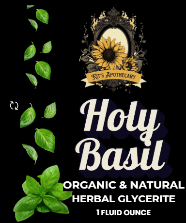 🌿 HOLY BASIL (Tulsi) | Stress Support