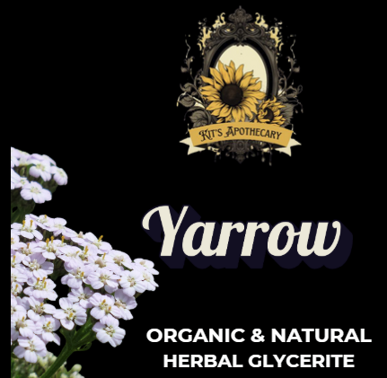 🌿 YARROW | Protection + Balance
