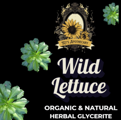 🌙 WILD LETTUCE | Deep Rest