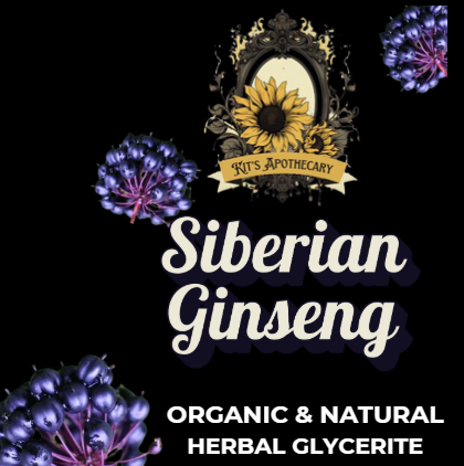 🌱 SIBERIAN GINSENG | Vitality + Endurance