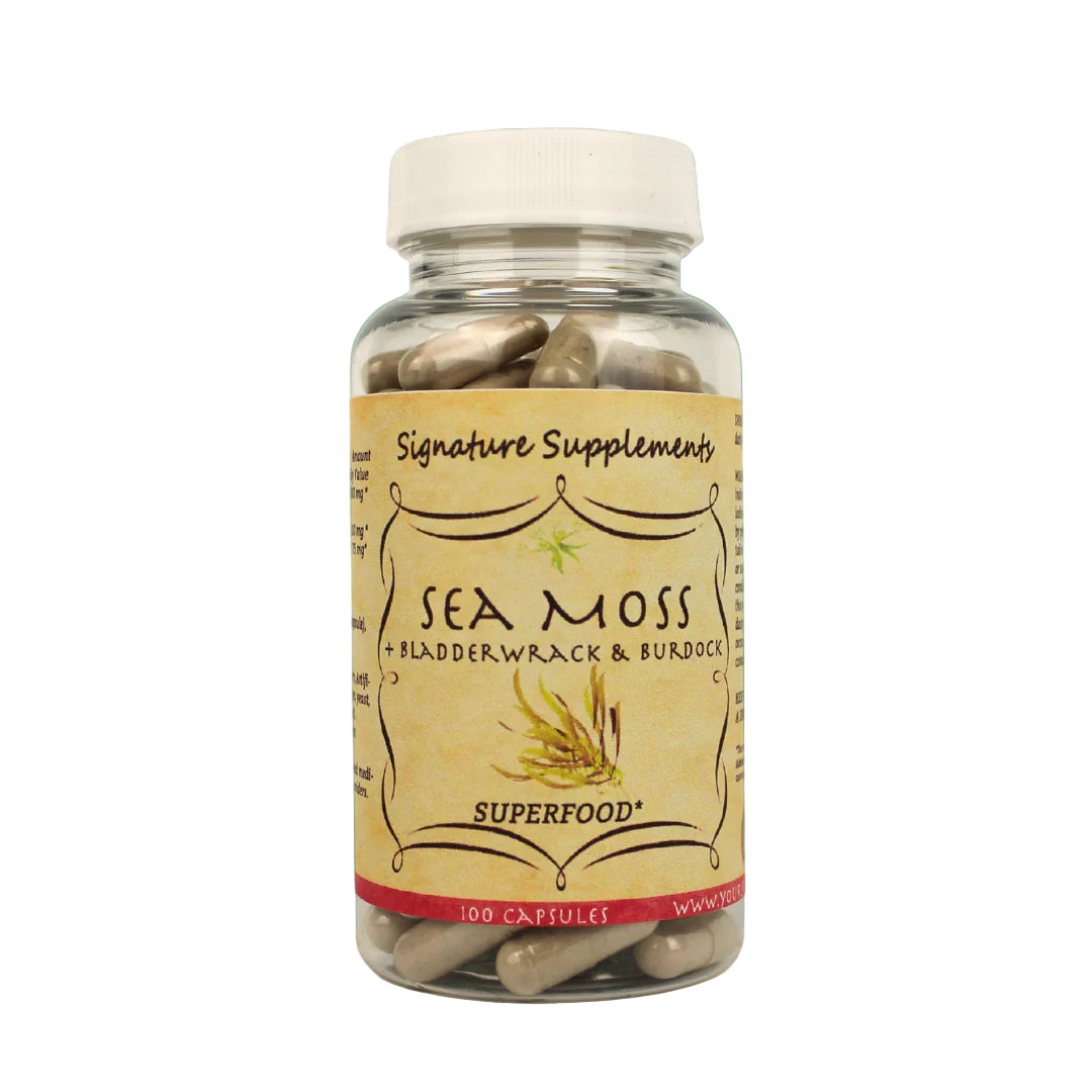 🌊 Sea Moss – Thyroid & Mineral Support from the Sea