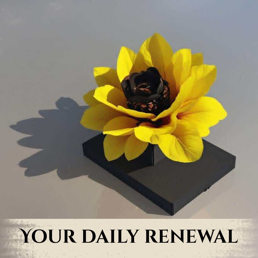 🌻 Stop and Smell the Sunflower — Your Everyday Anchor for Reset & Renewal 🌻