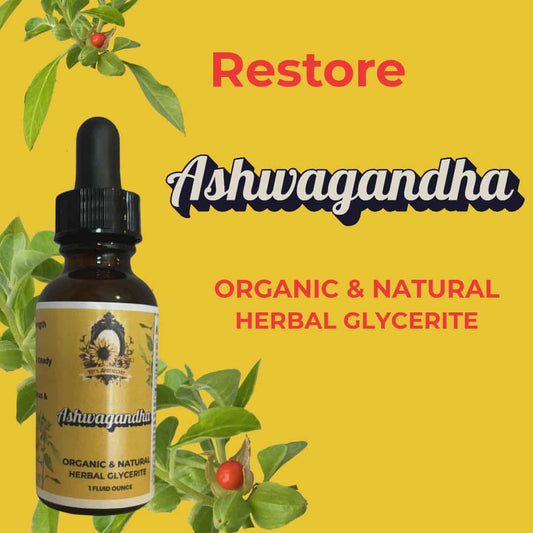 🌱 ASHWAGANDHA | Restore + Unwind