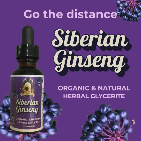 🌱 SIBERIAN GINSENG | Vitality + Endurance