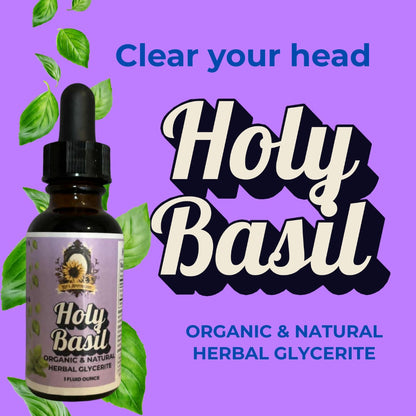 🌿 HOLY BASIL (Tulsi) | Stress Support