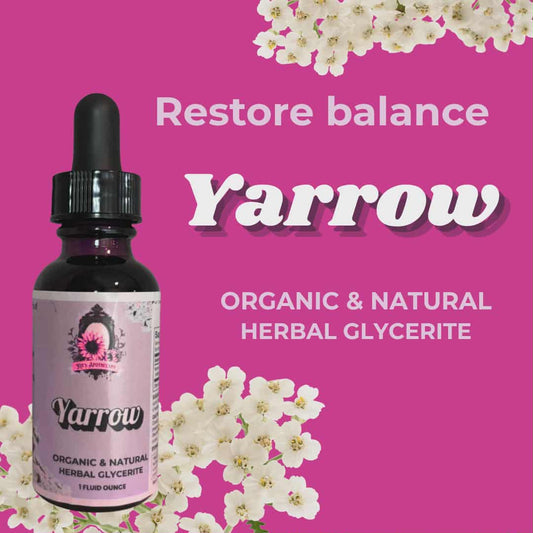 🌿 YARROW | Protection + Balance
