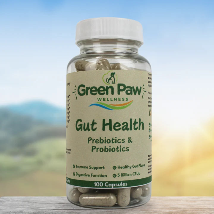 GUT HEALTH FOR DOGS & CATS