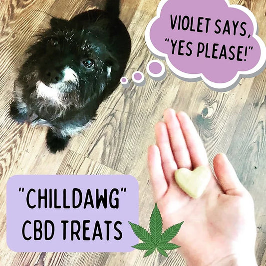 CHILL DAWG CBD DOG TREATS