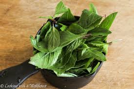 Basil Leaf