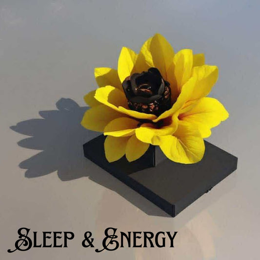 🌻 Sleep & Energy Sunflower Anchor